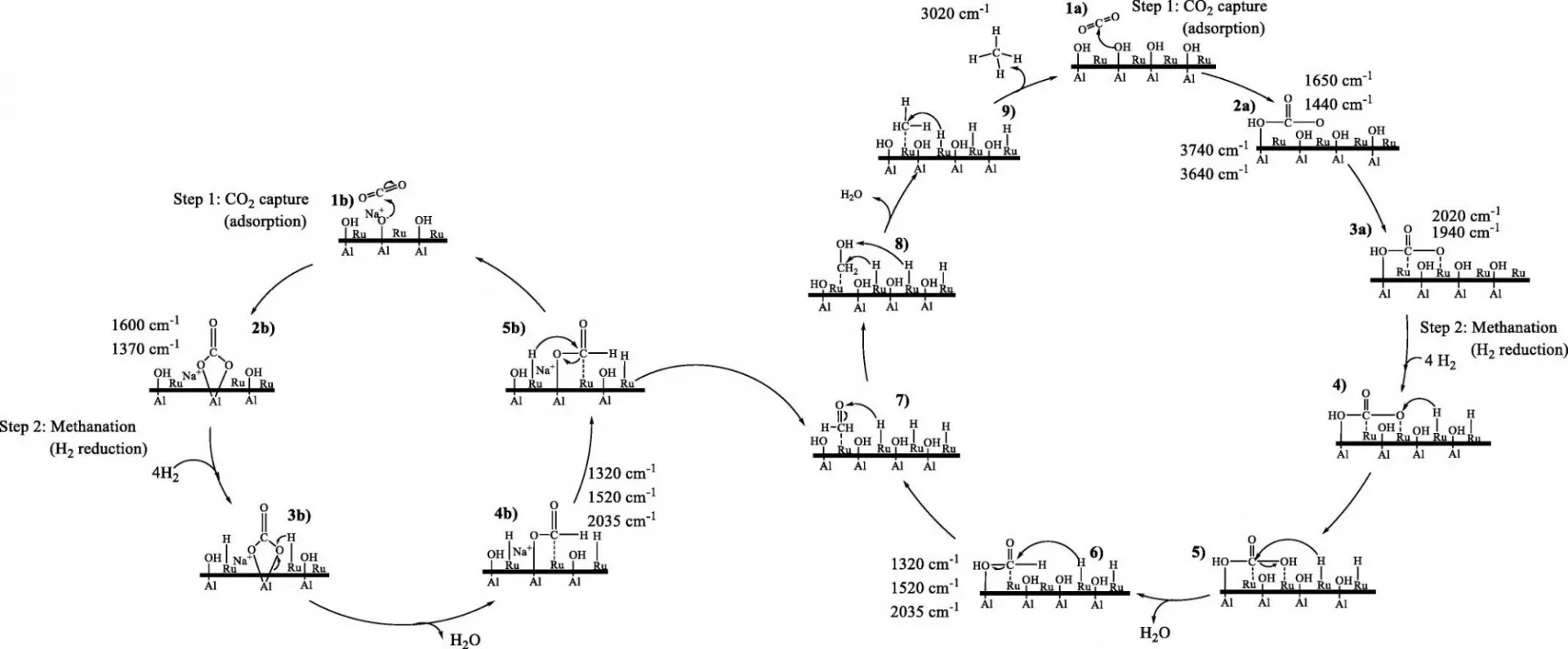 Schematic representation of the proposed mechanism for the two-step CO2 capture and catalytic conversion to synthetic natural gas over Ru,“Na2O”/Al2O3 Dual Functional Material (DFM).