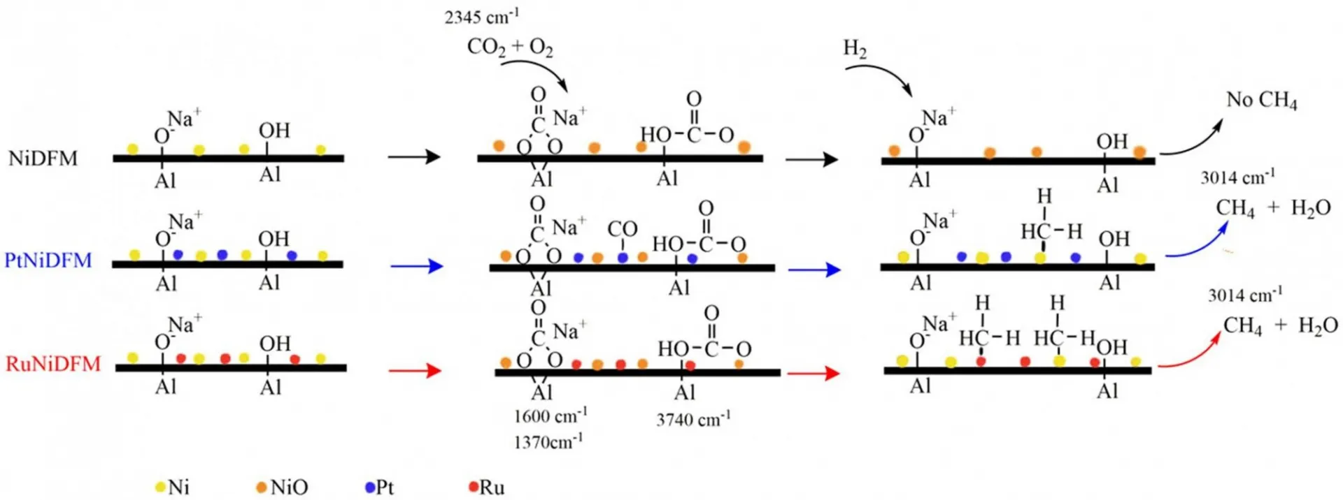 Schematic representation of CO2 capture and methanation mechanism over Ni, Na2O/Al2O3, Pt-Ni, Na2O/Al2O3 and Ru-Ni, Na2O/Al2O3 Dual Function Materials at simulated flue gas conditions.